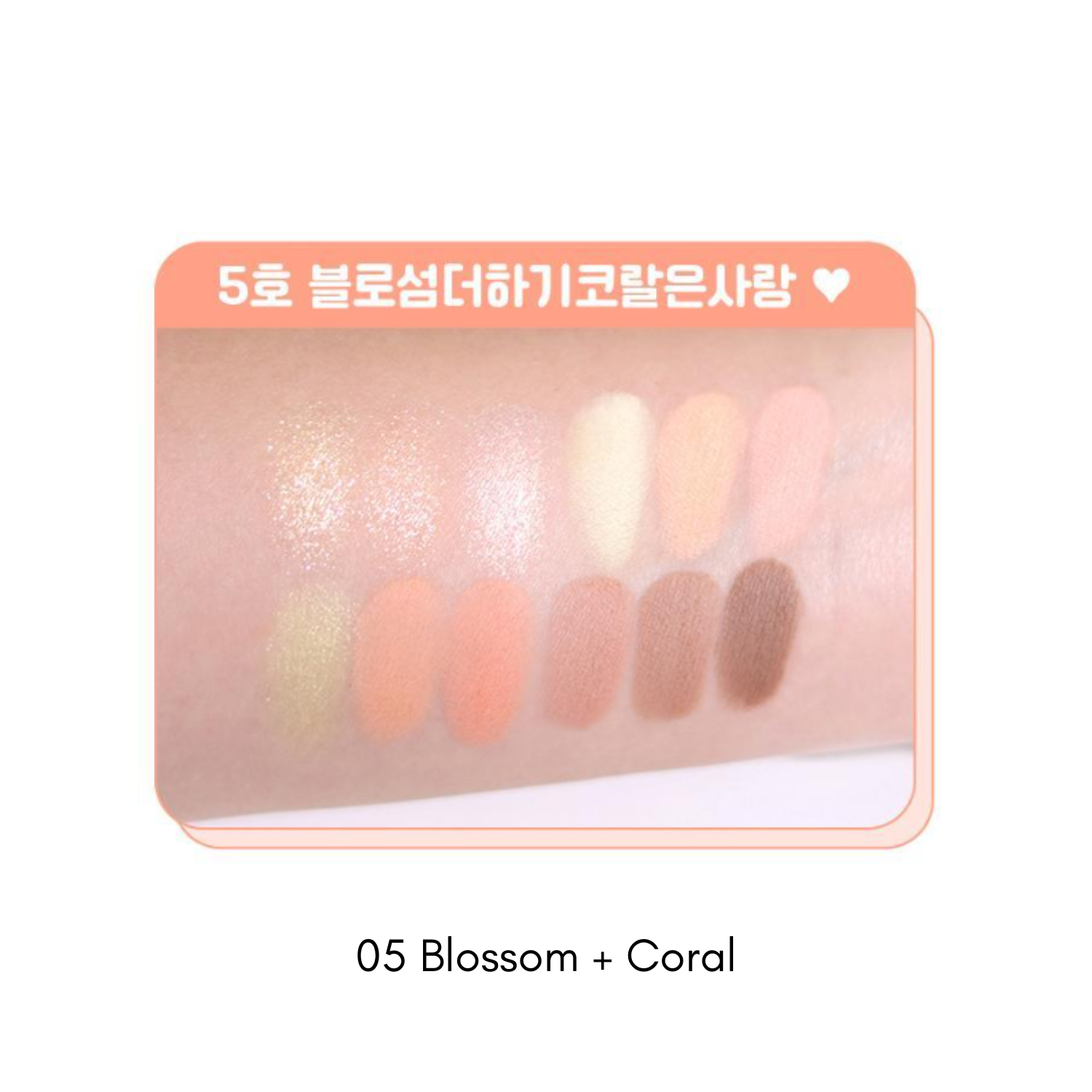 COLORGRAM Pin Point Eyeshadow Palette (6 colours)  - Glowii Beauty
