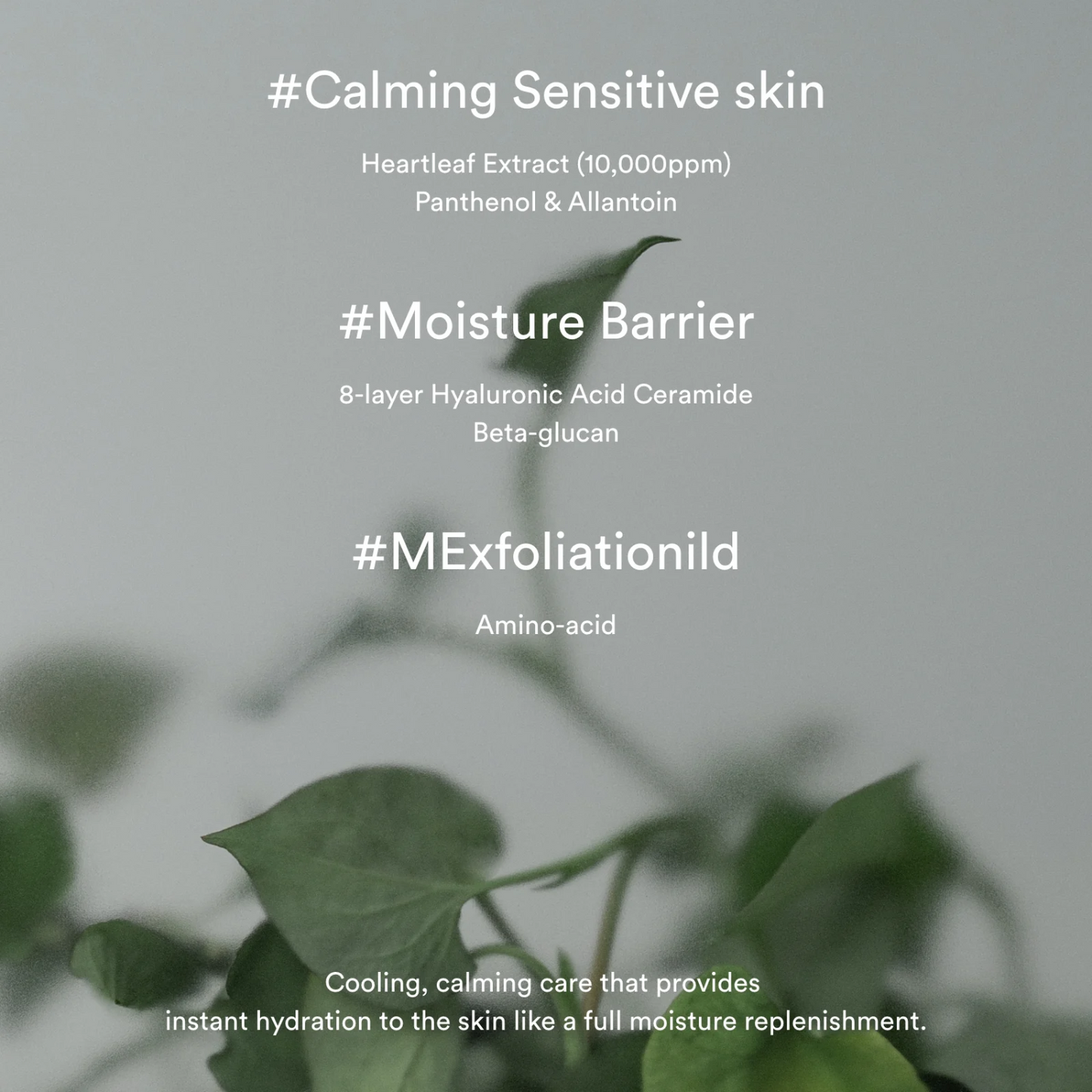 Abib Heartleaf Creme Calming Tube 75ml  - Glowii Beauty