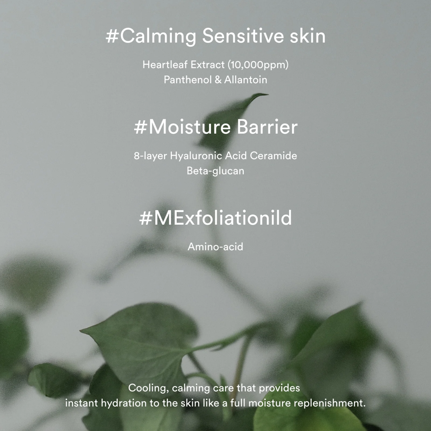 Abib Heartleaf Creme Calming Tube 75ml  - Glowii Beauty