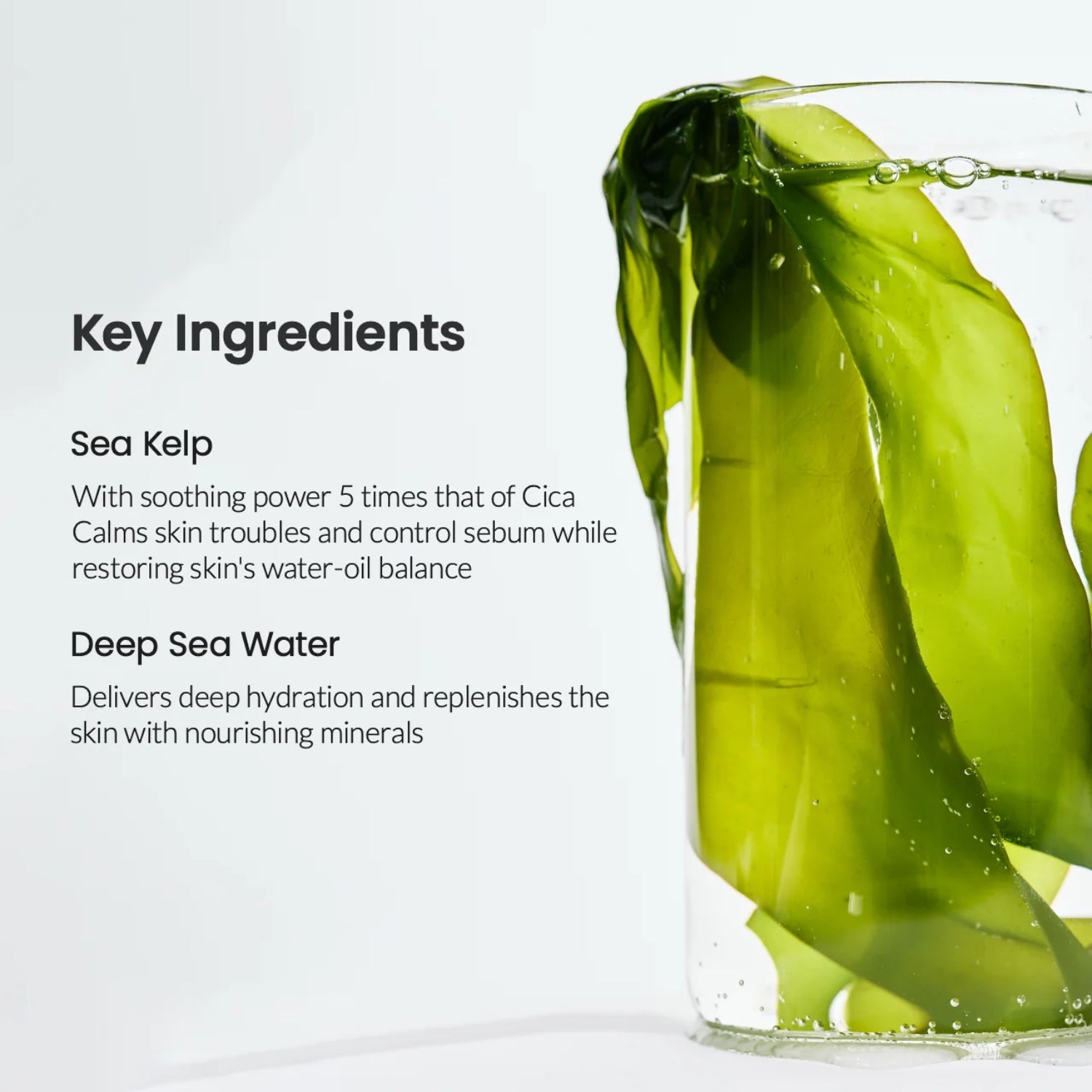 Biodance Refreshing Sea Kelp Real Deep Mask key ingredients